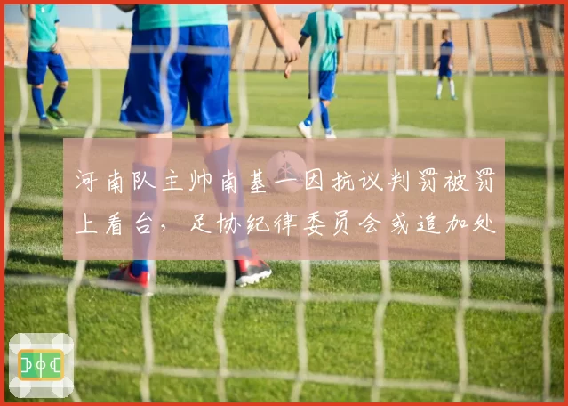 河南队主帅南基一因抗议判罚被罚上看台，足协纪律委员会或追加处罚