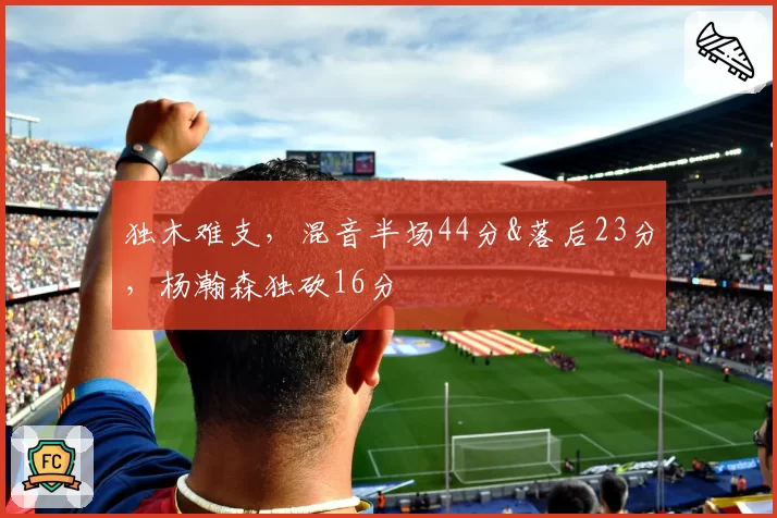 独木难支,混音半场44分&落后23分,杨瀚森独砍16分