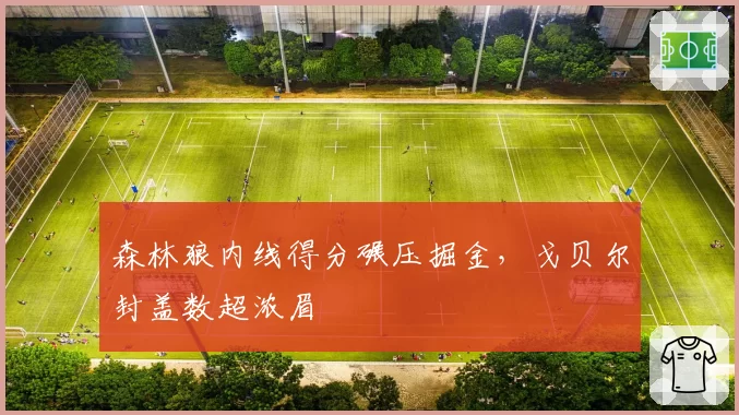 森林狼内线得分碾压掘金，戈贝尔封盖数超浓眉