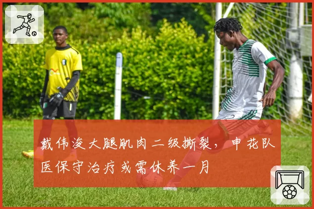 戴伟浚大腿肌肉二级撕裂,申花队医保守治疗或需休养一月